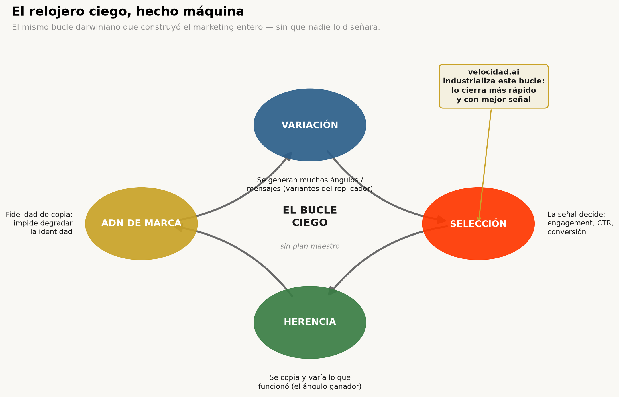 Diagrama del bucle darwiniano de variación, selección y herencia industrializado por velocidad.ai